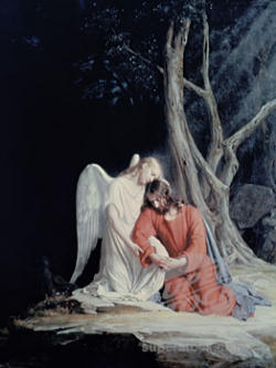 Image of Father, if you are willing, take this cup from me; yet not my will, but yours be done.