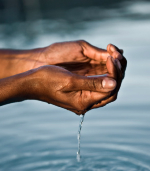 We began with cleansing the soul, the mind, and - let us not forget - the body.